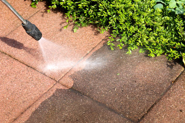 Best Deck Cleaning Services  in Sierra Ridge, CO